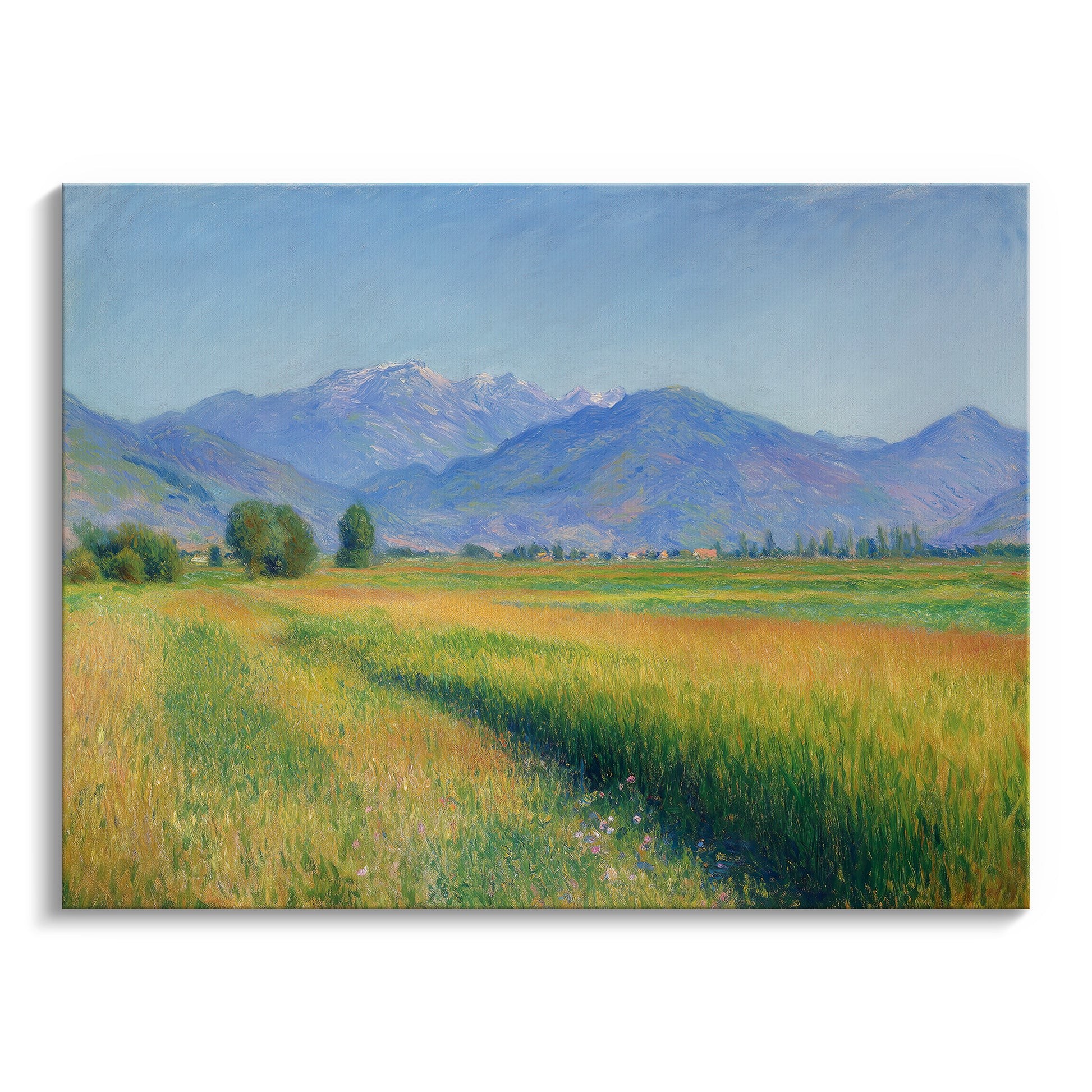 Farming Field & Mountain Views