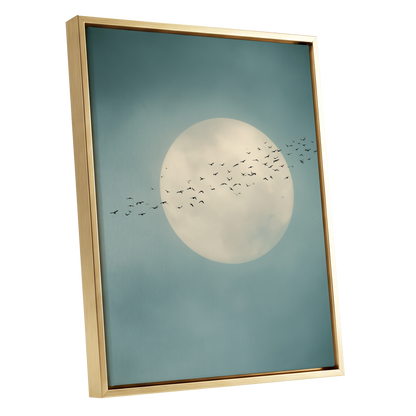 Lunar Drift
