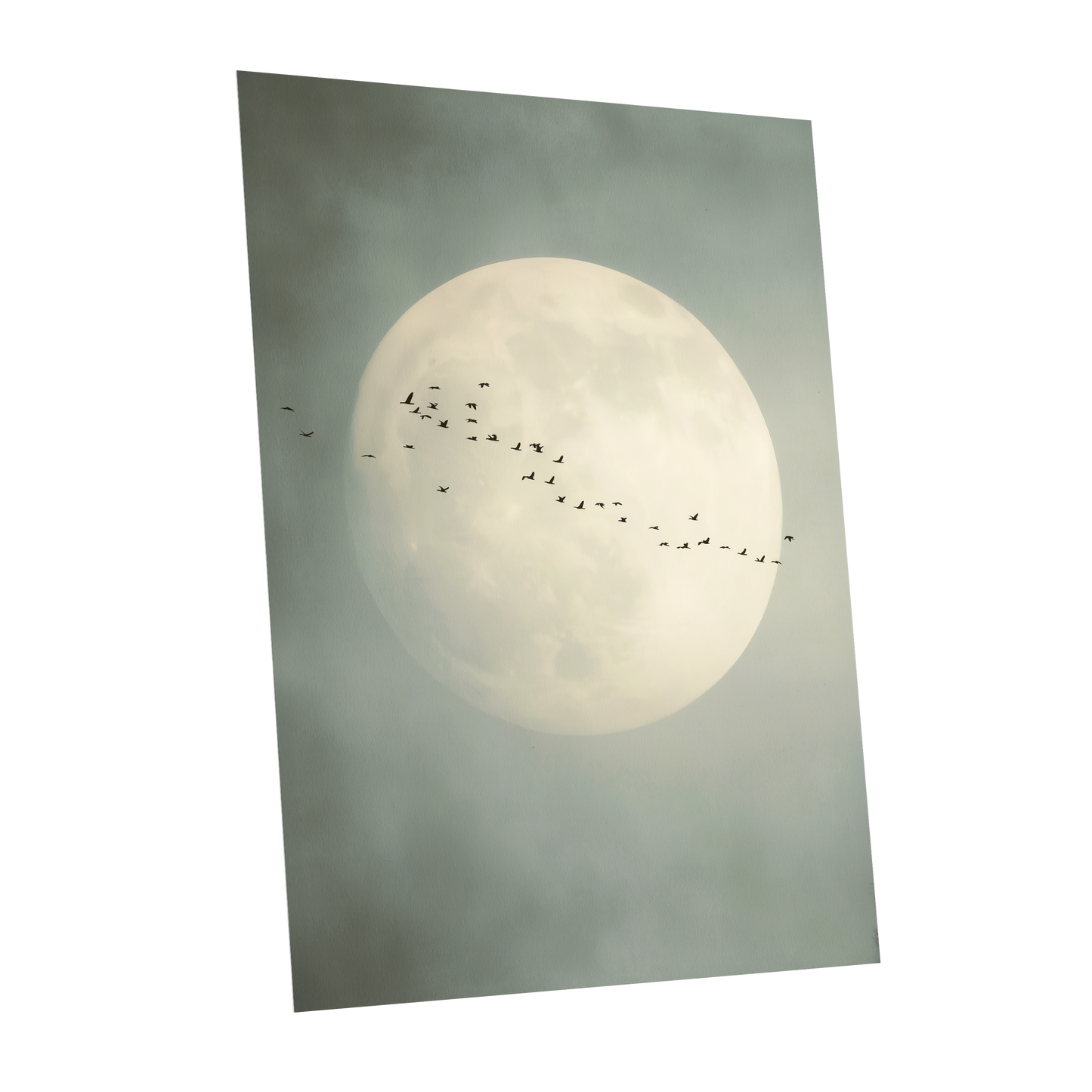 Pale Orbit