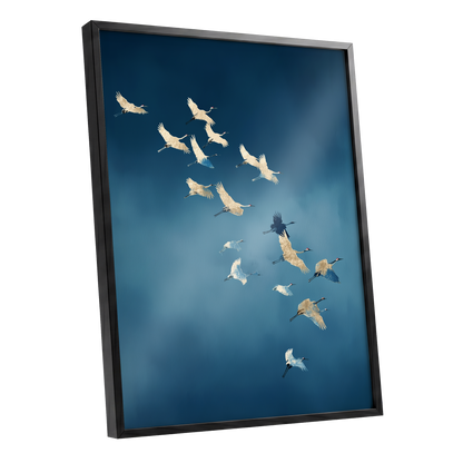 Gilded Flight