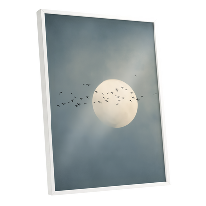 Moonlit Passage