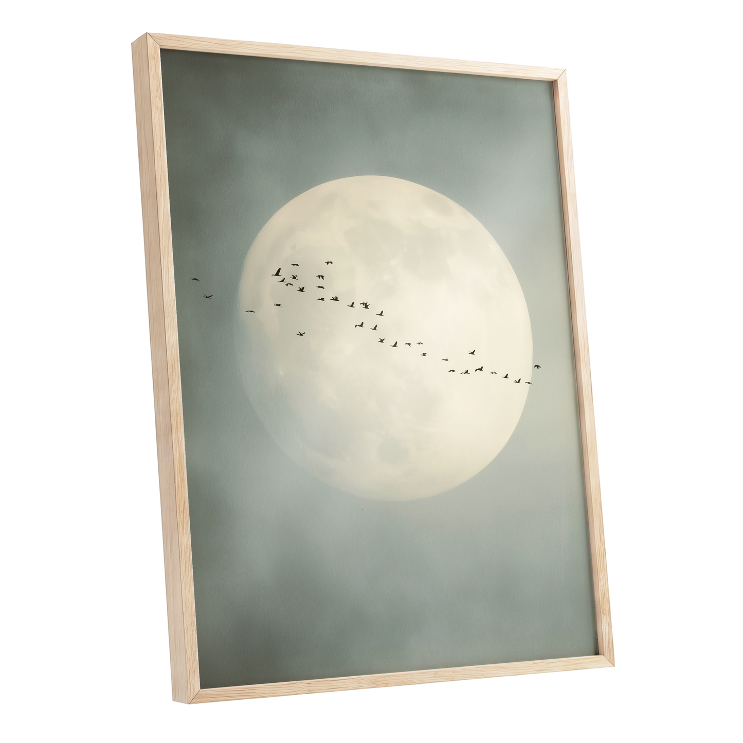 Pale Orbit