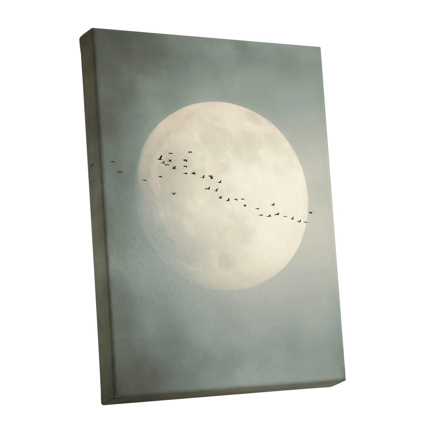 Pale Orbit