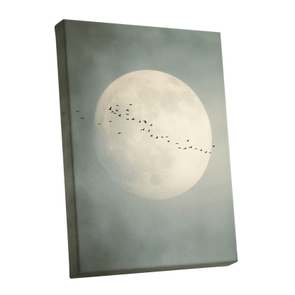 Pale Orbit