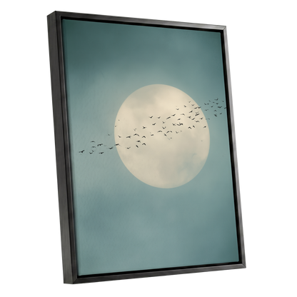 Lunar Drift