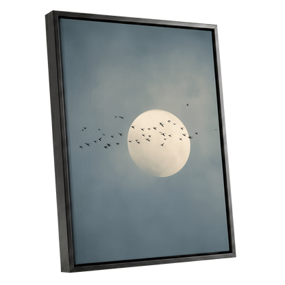 Moonlit Passage