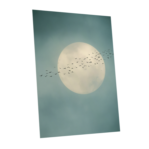 A vertical art print depicting a large cream-colored full moon against a muted teal-blue cloudy sky, with a flock of small black birds flying across the center. The print is shown at a slight angle on a solid white background.