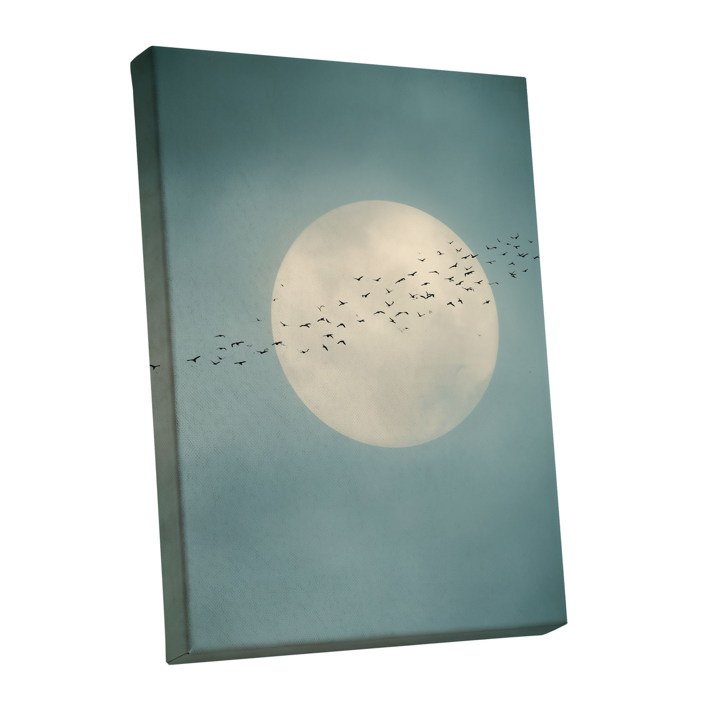 A rectangular canvas wall art print shown at an angle, featuring a large pale moon and a flock of birds against a muted blue-gray sky background.