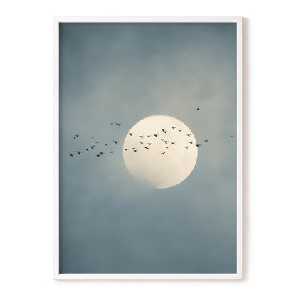 A framed art print featuring a large pale moon in a cloudy blue-gray sky, with a flock of birds flying around it. The print is presented in a thin white frame against a clean white background.