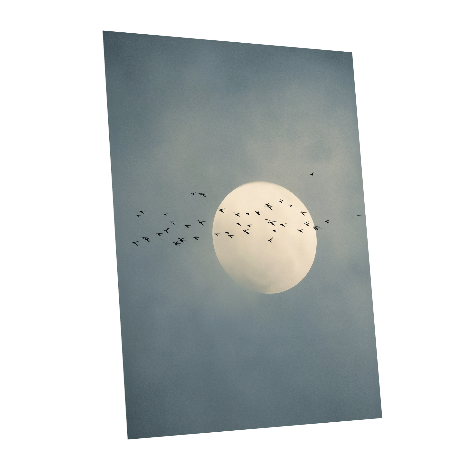 A vertical art print or poster showing a pale full moon surrounded by a flock of small birds against a muted blue-gray cloudy sky, photographed on a plain white background.