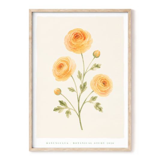 Apricot Ranunculus, orange, green, beige floral wall art, front artwork view