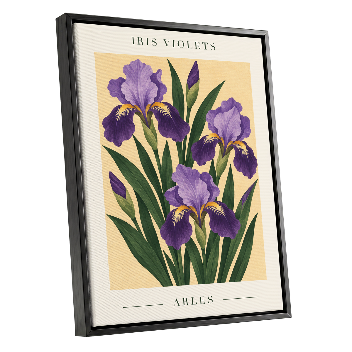 Arles in Violet, purple, green, beige floral wall art shown as a black framed canvas wall art