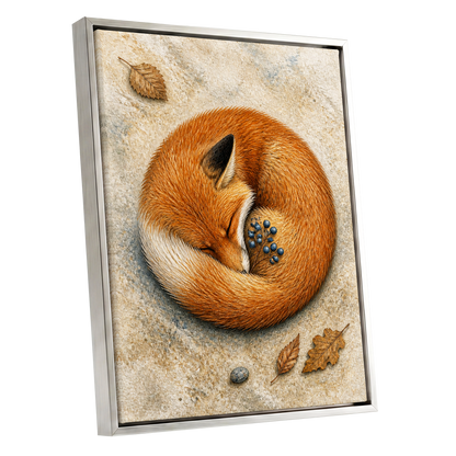 Autumn Fox Slumber, orange, beige, brown nature wall art shown as a silver framed canvas wall art