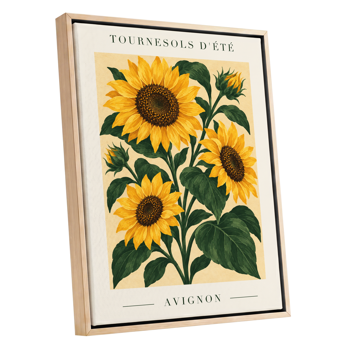 Avignon Sunflower Study, yellow, green, beige floral wall art shown as a oak framed canvas wall art