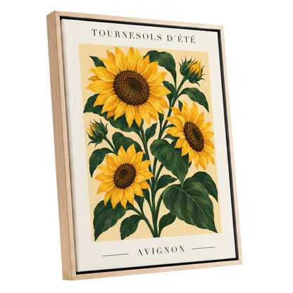 Avignon Sunflower Study, yellow, green, beige floral wall art shown as a oak framed canvas wall art