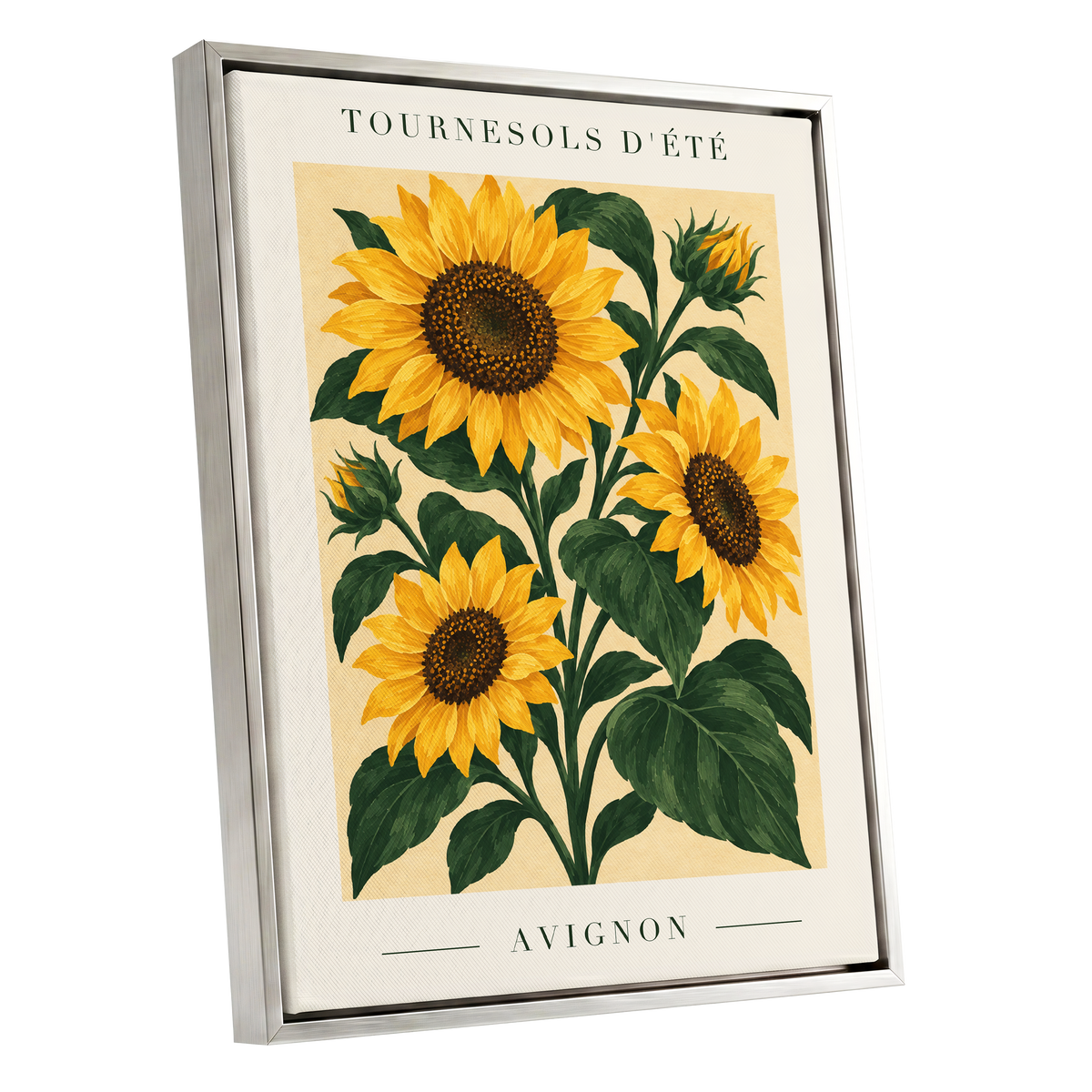 Avignon Sunflower Study, yellow, green, beige floral wall art shown as a silver framed canvas wall art