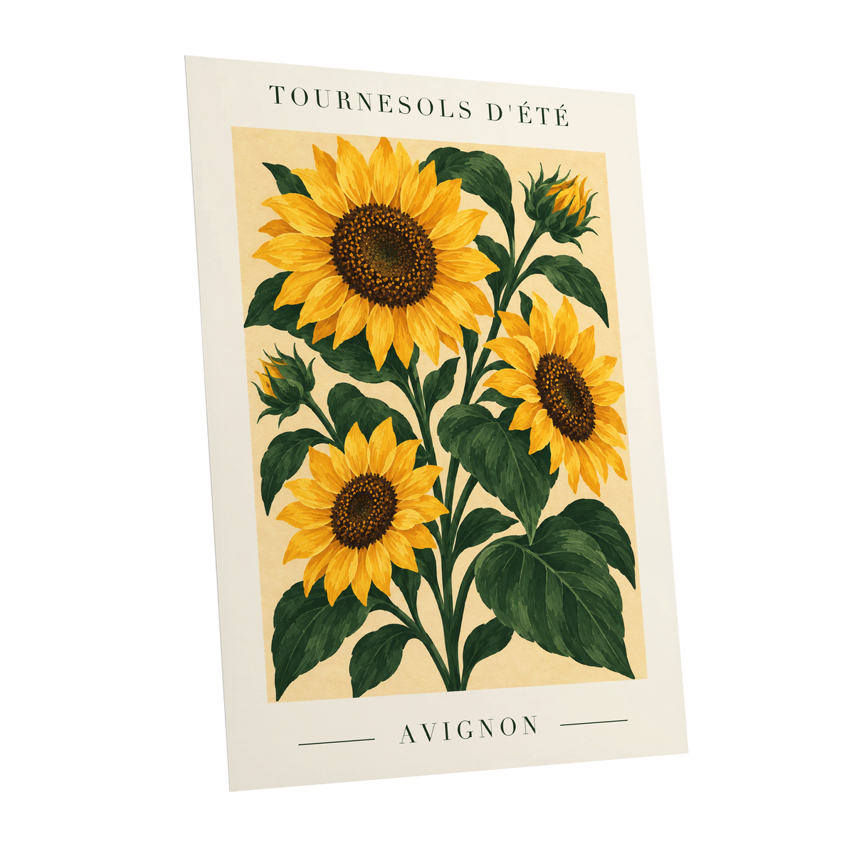 Avignon Sunflower Study, yellow, green, beige floral wall art shown as a unframed poster wall art print