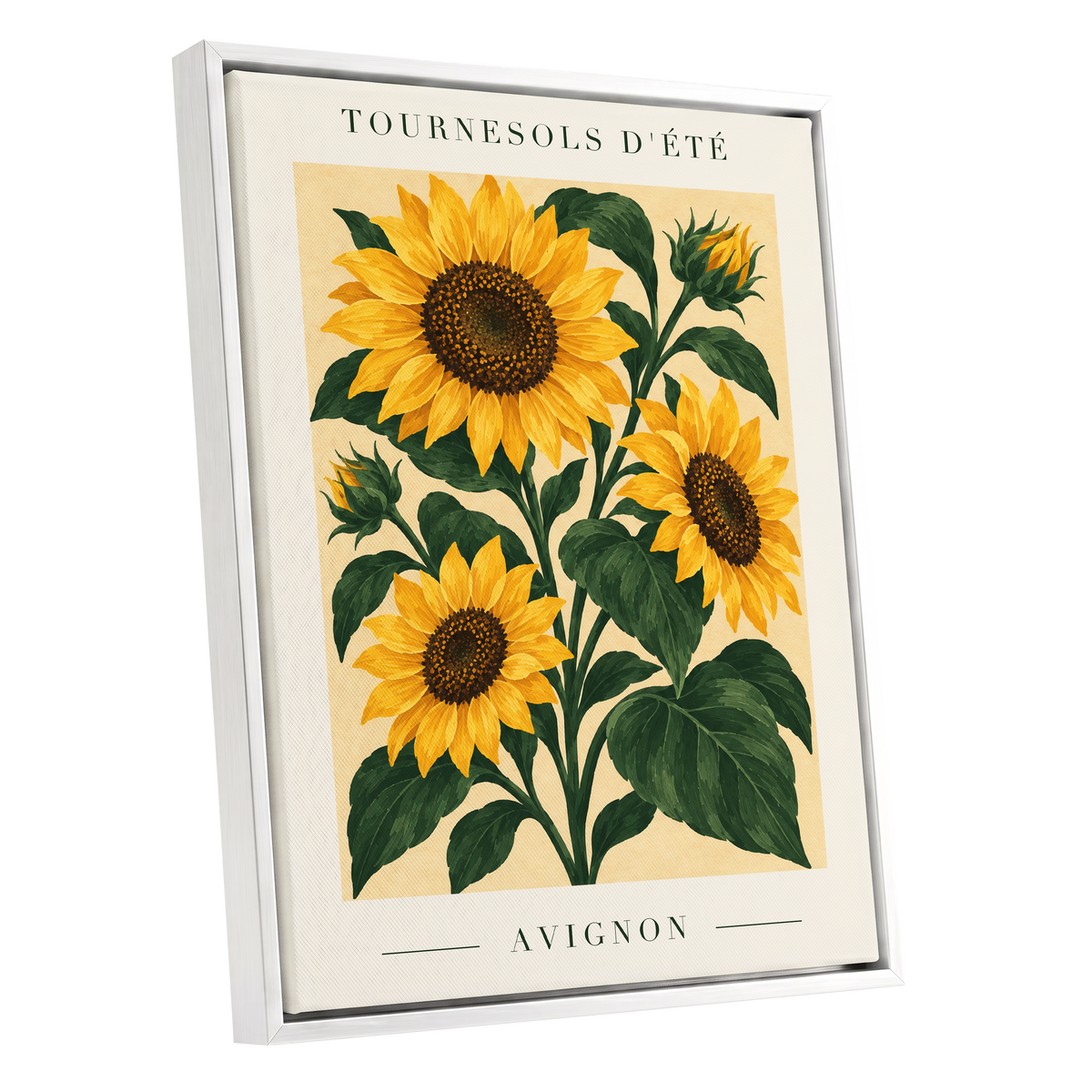 Avignon Sunflower Study, yellow, green, beige floral wall art shown as a white framed canvas wall art