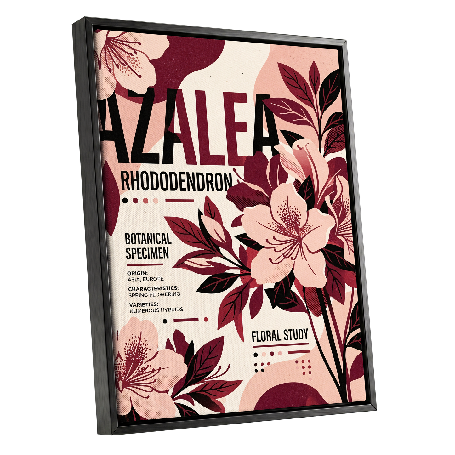 Azalea Archive, pink, red, beige floral wall art shown as a black framed canvas wall art