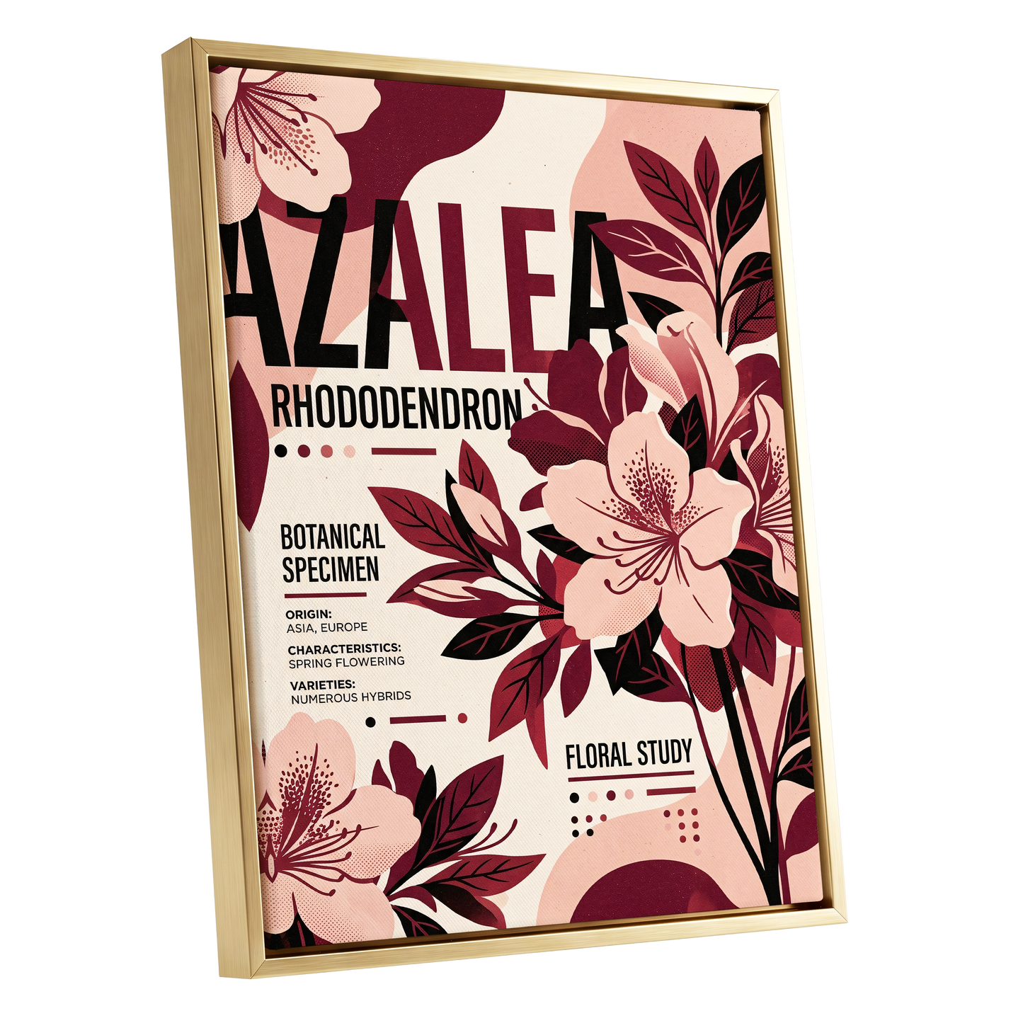 Azalea Archive, pink, red, beige floral wall art shown as a gold framed canvas wall art