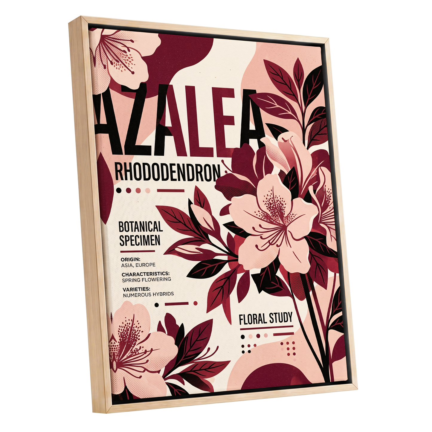 Azalea Archive, pink, red, beige floral wall art shown as a oak framed canvas wall art