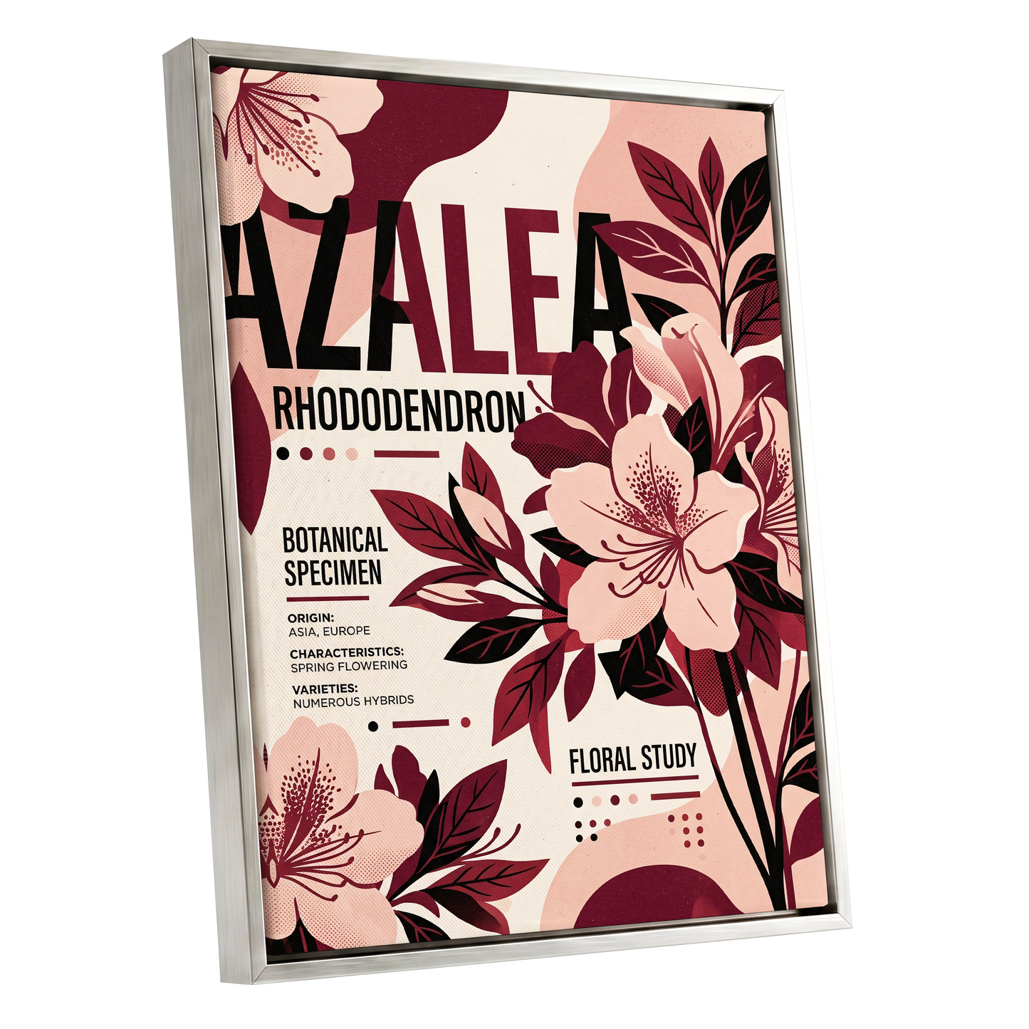 Azalea Archive, pink, red, beige floral wall art shown as a silver framed canvas wall art