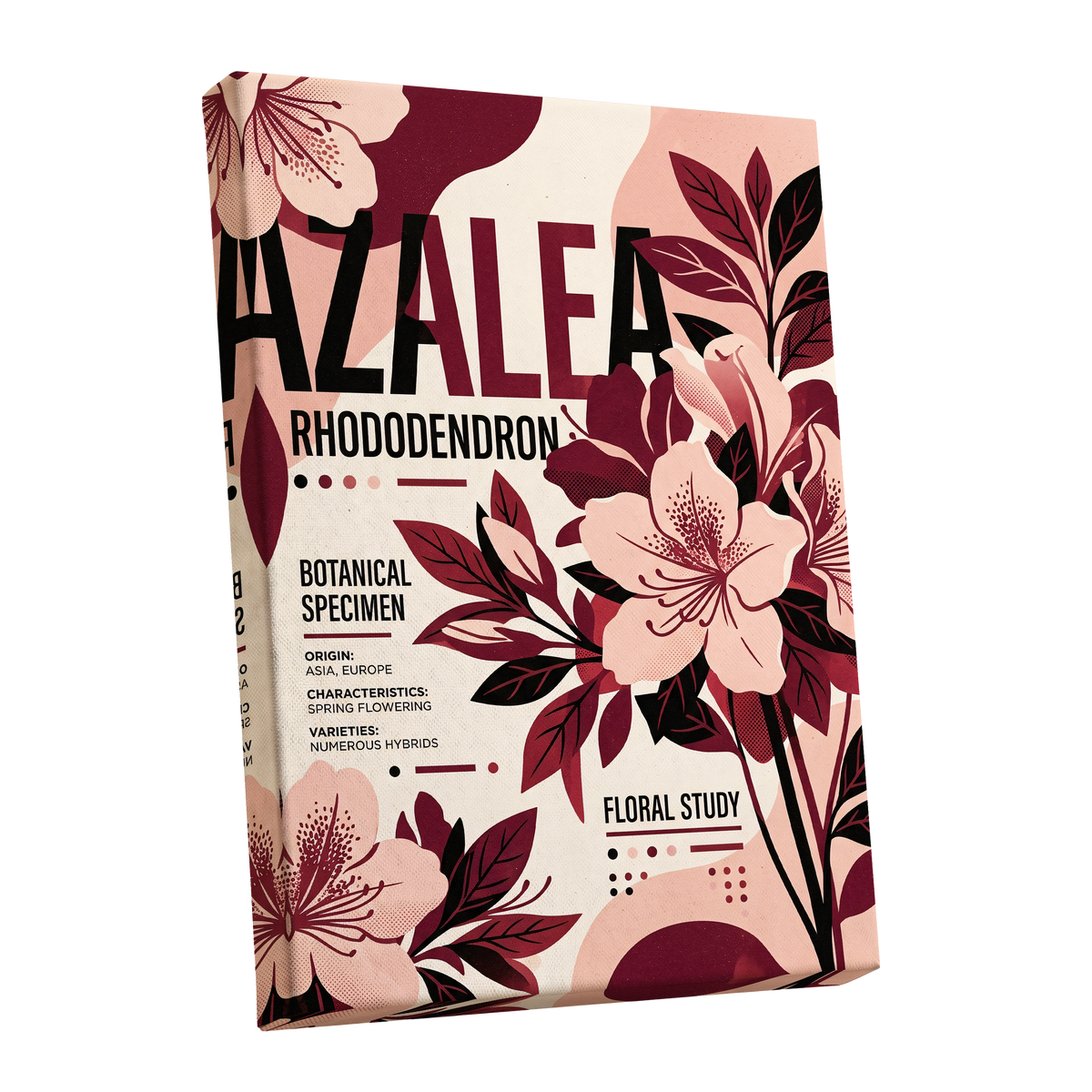 Azalea Archive, pink, red, beige floral wall art shown as a stretched canvas wall art
