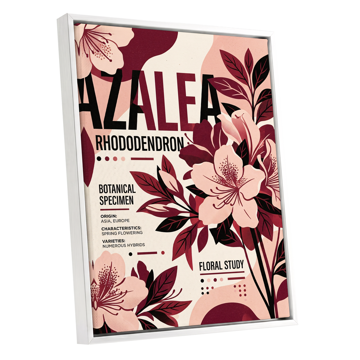 Azalea Archive, pink, red, beige floral wall art shown as a white framed canvas wall art