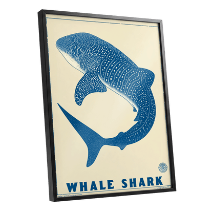 Azure Whale Shark, blue, beige, white nature wall art shown as a black framed poster wall art print