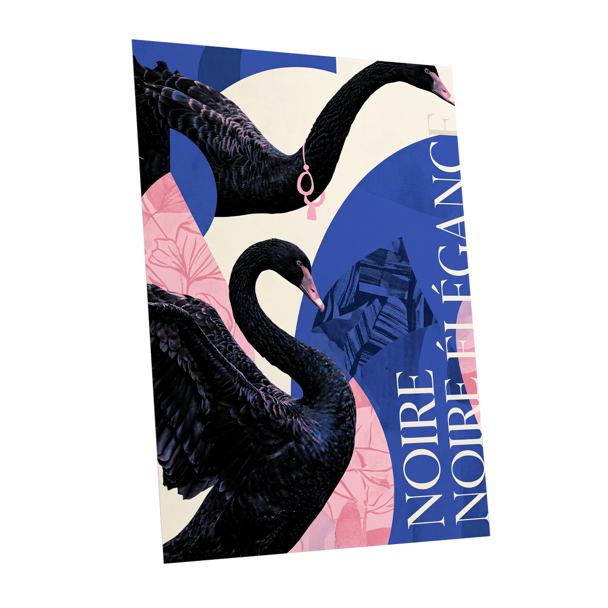 Black Swan Reverie, black, blue, pink nature wall art shown as a unframed poster wall art print
