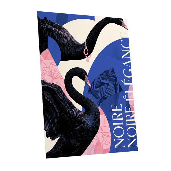 Black Swan Reverie, black, blue, pink nature wall art shown as a unframed poster wall art print