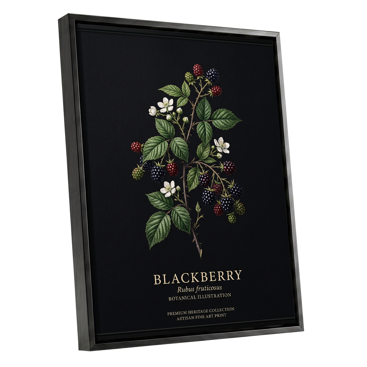 Blackberry Nocturne, black, green, red nature wall art shown as a black framed canvas wall art