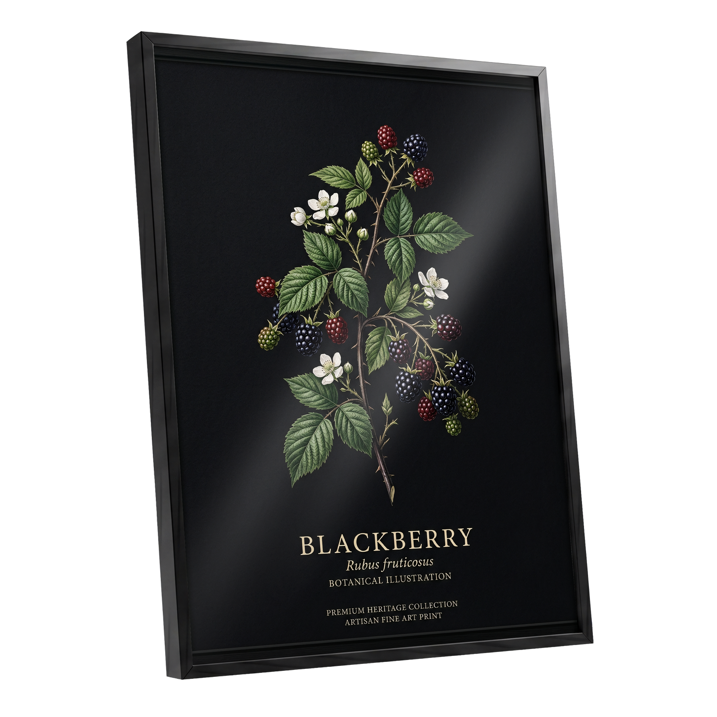 Blackberry Nocturne, black, green, red nature wall art shown as a black framed poster wall art print