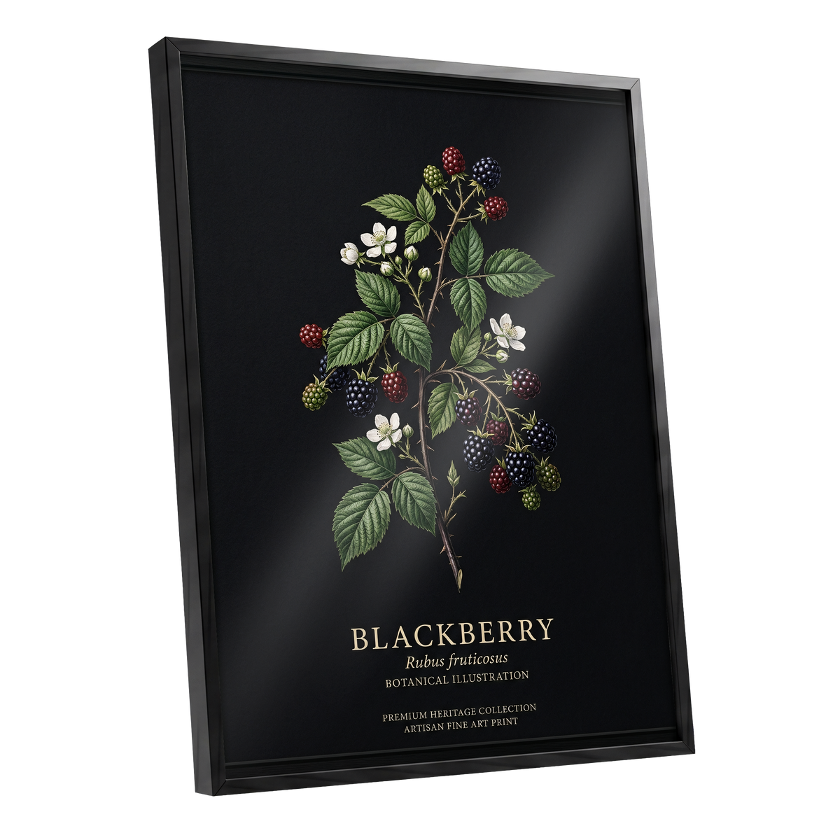 Blackberry Nocturne, black, green, red nature wall art shown as a black framed poster wall art print