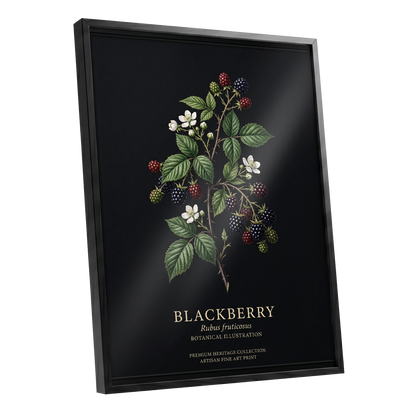 Blackberry Nocturne, black, green, red nature wall art shown as a black framed poster wall art print