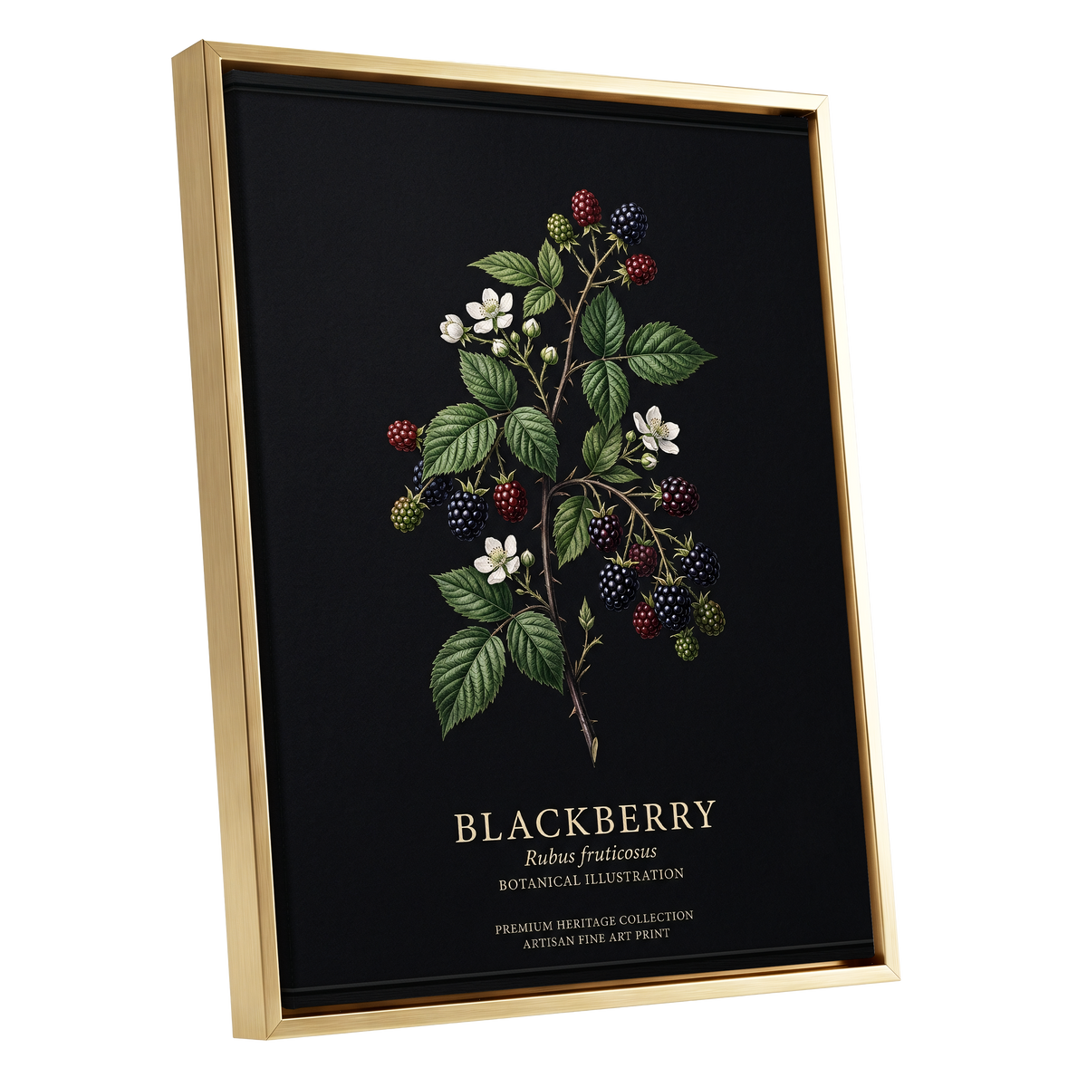 Blackberry Nocturne, black, green, red nature wall art shown as a gold framed canvas wall art