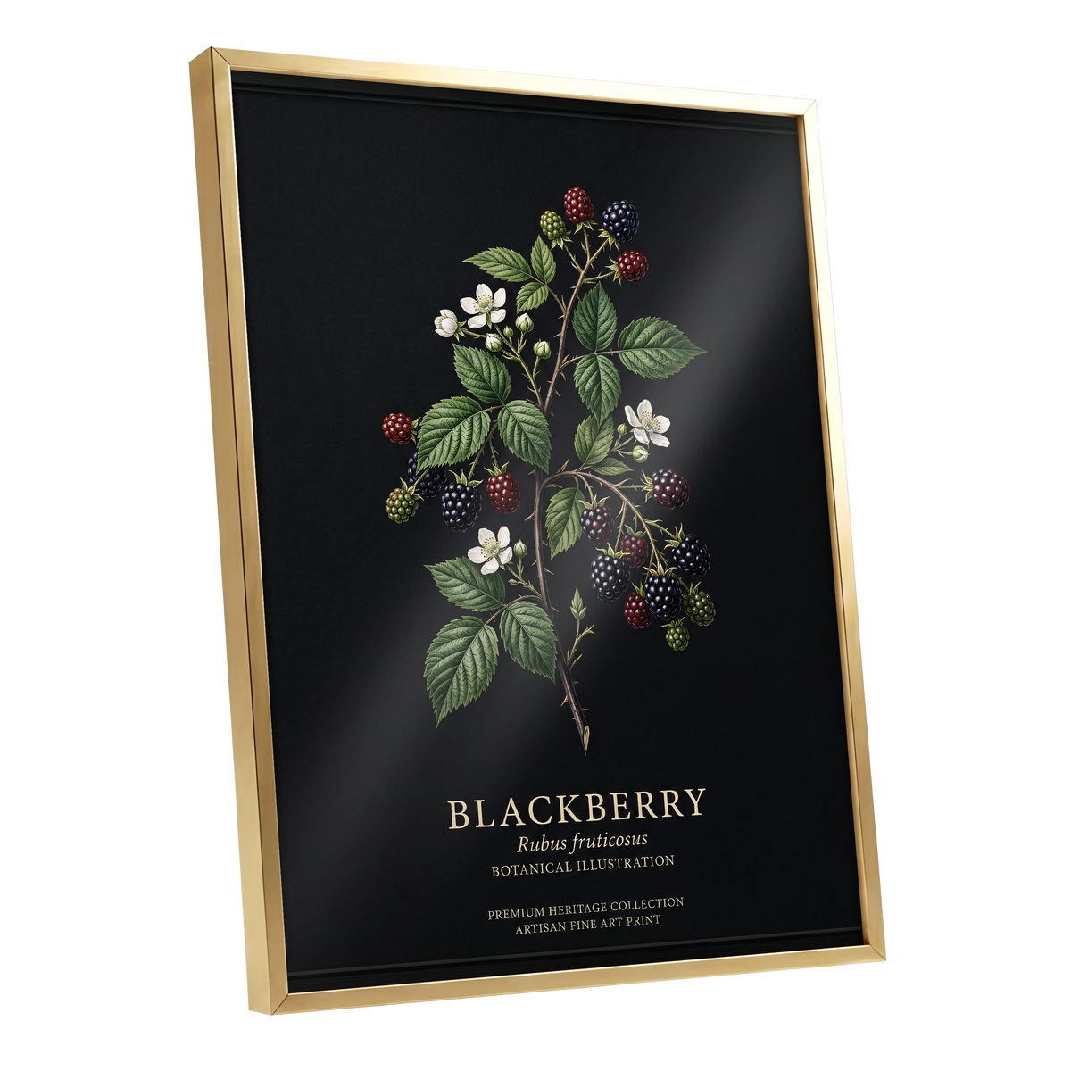 Blackberry Nocturne, black, green, red nature wall art shown as a gold framed poster wall art print