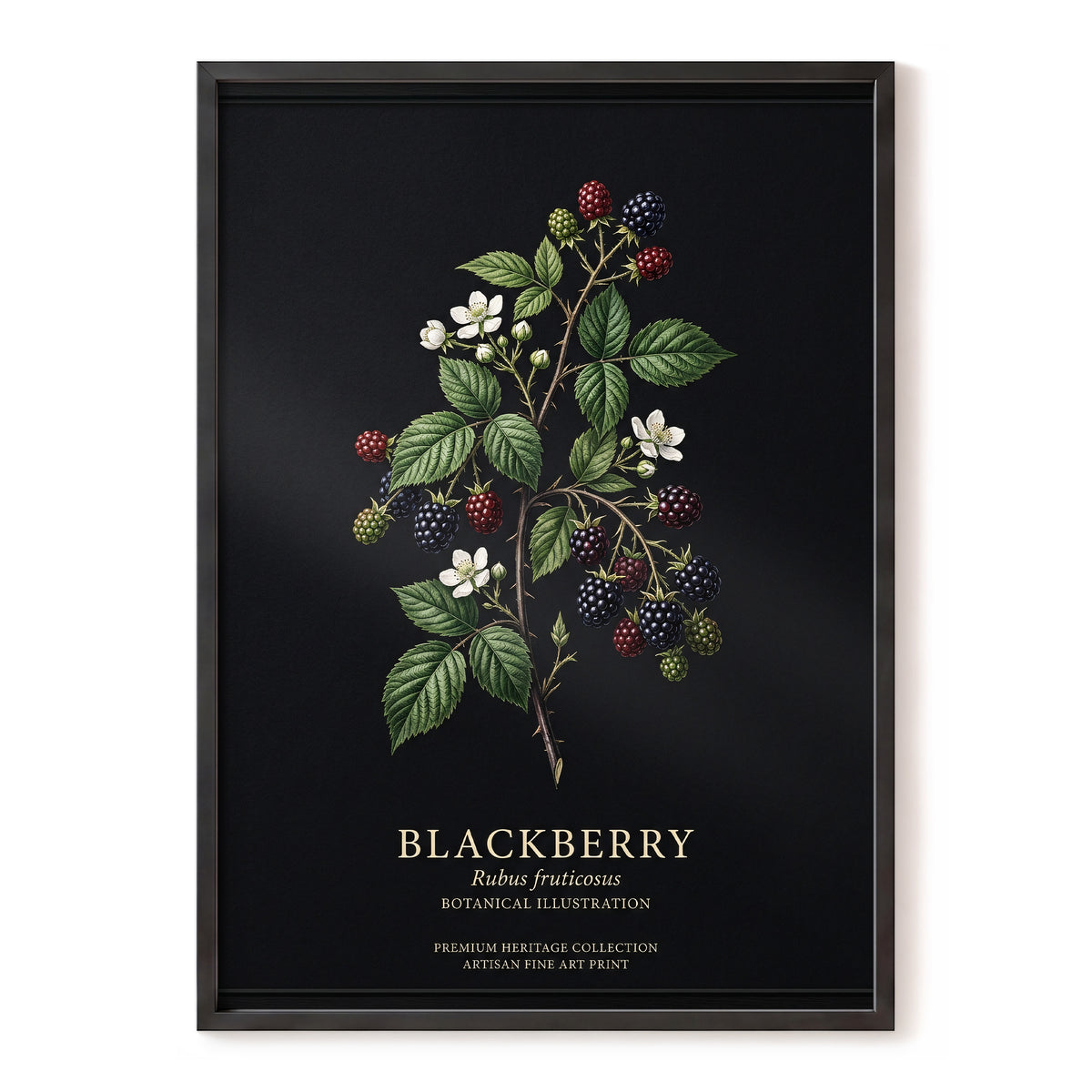 Blackberry Nocturne, black, green, red nature wall art, front artwork view