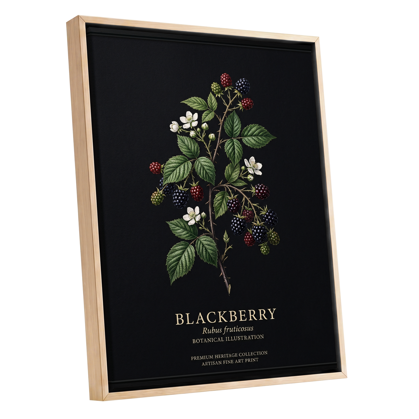 Blackberry Nocturne, black, green, red nature wall art shown as a oak framed canvas wall art