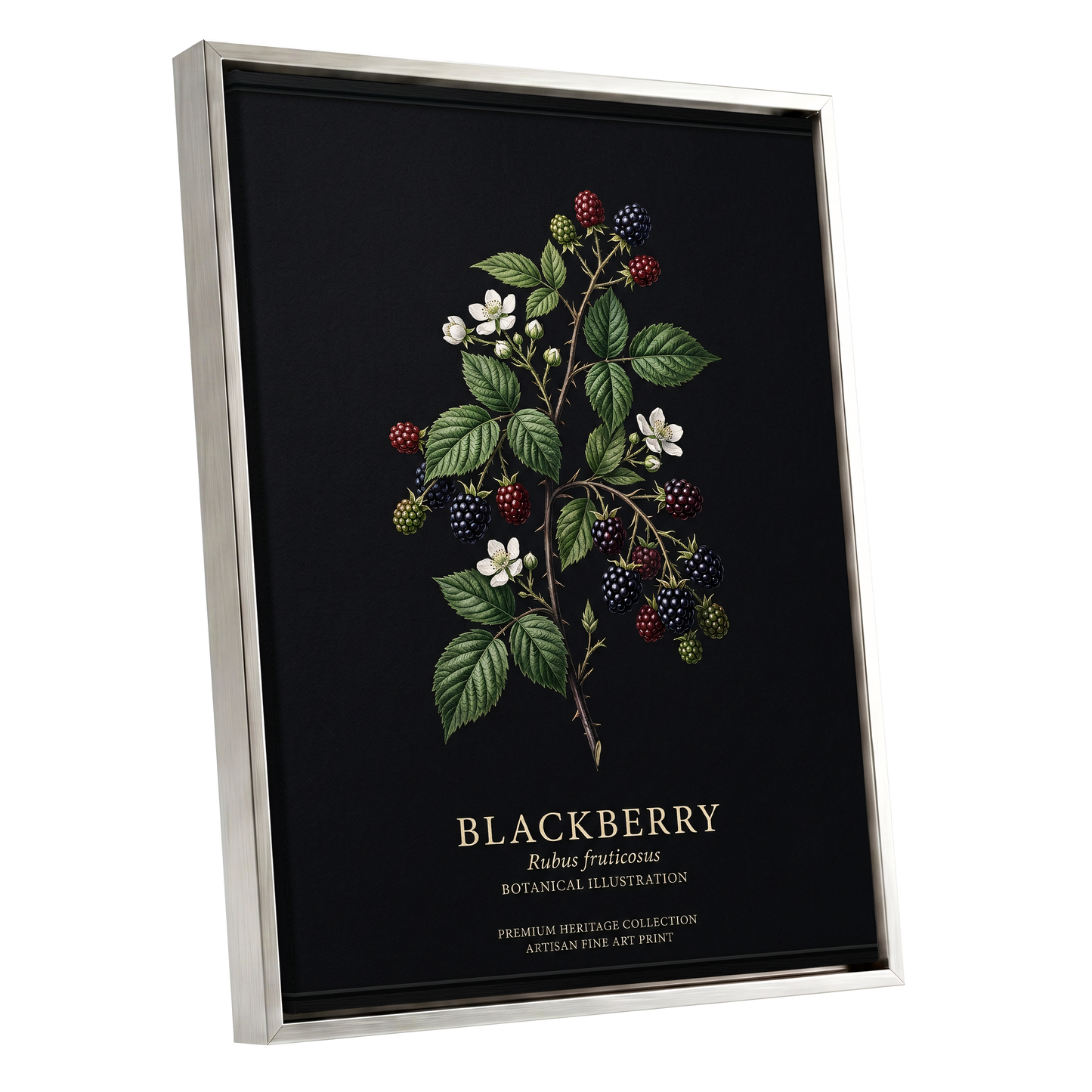Blackberry Nocturne, black, green, red nature wall art shown as a silver framed canvas wall art