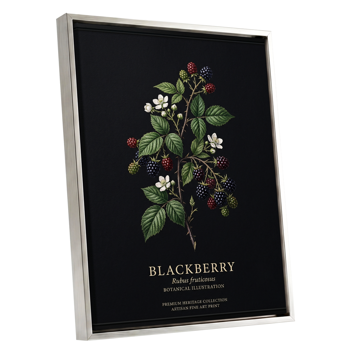 Blackberry Nocturne, black, green, red nature wall art shown as a silver framed canvas wall art