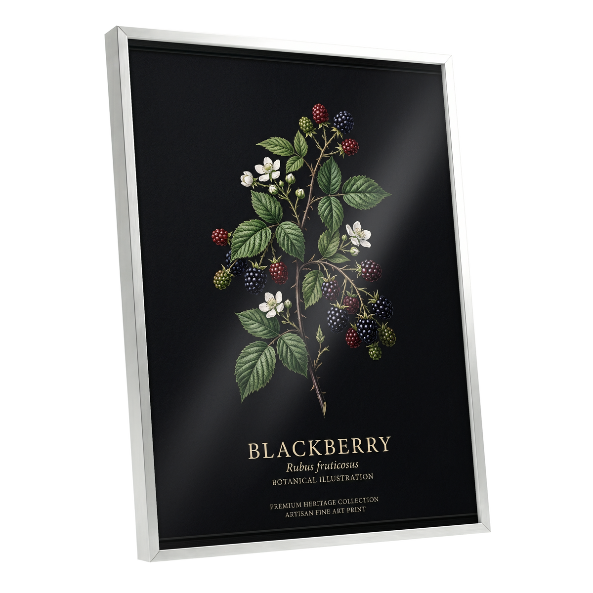 Blackberry Nocturne, black, green, red nature wall art shown as a silver framed poster wall art print