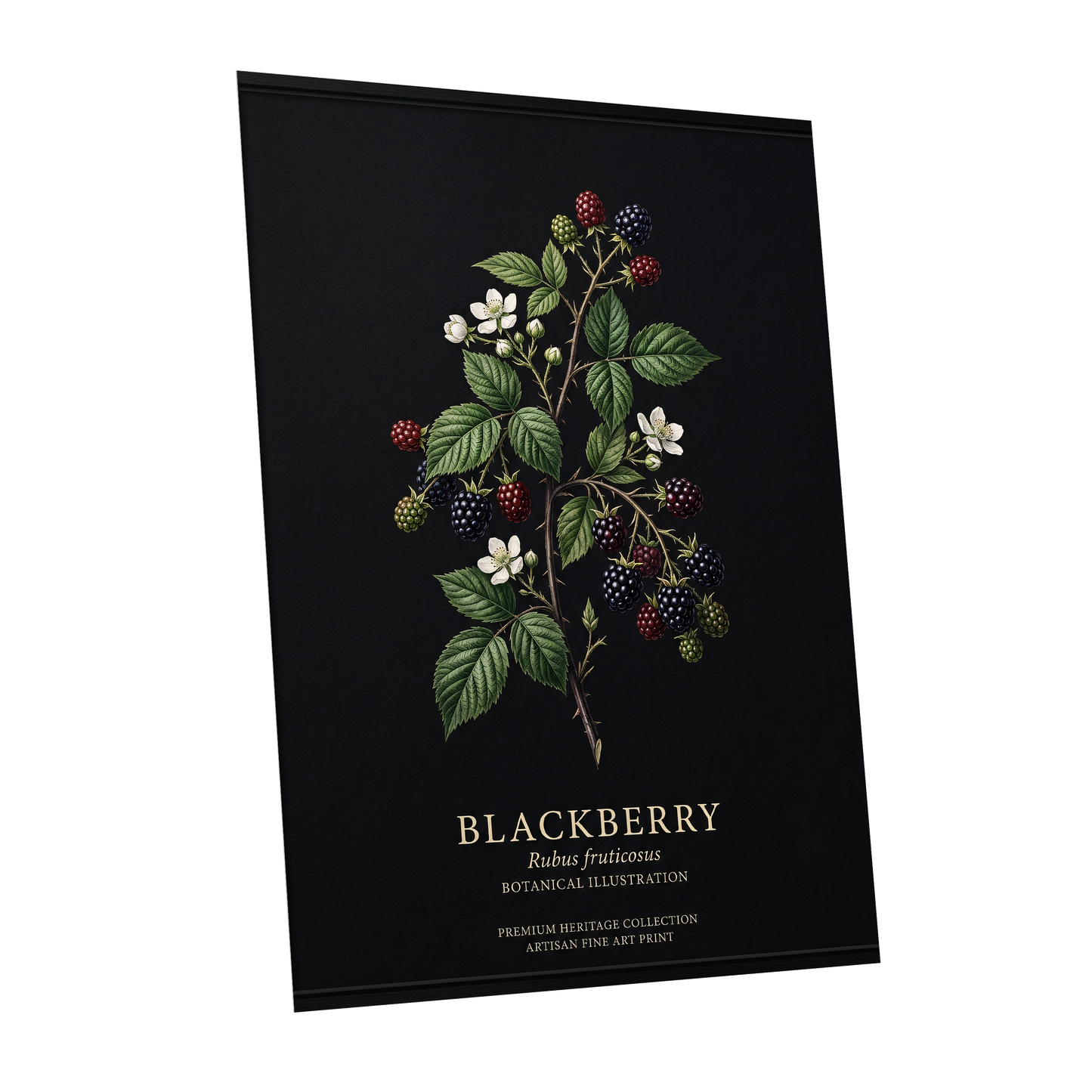 Blackberry Nocturne, black, green, red nature wall art shown as a unframed poster wall art print