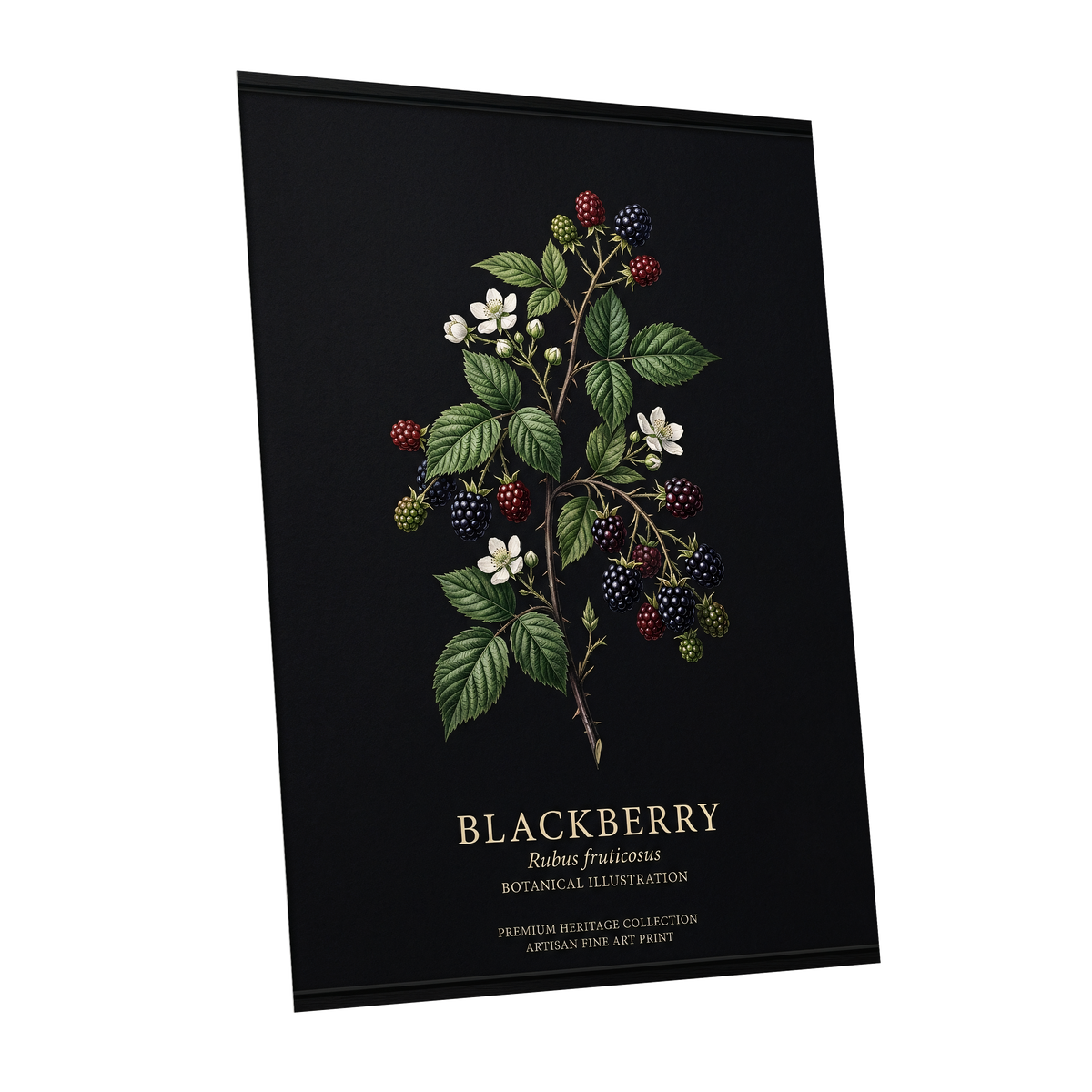 Blackberry Nocturne, black, green, red nature wall art shown as a unframed poster wall art print