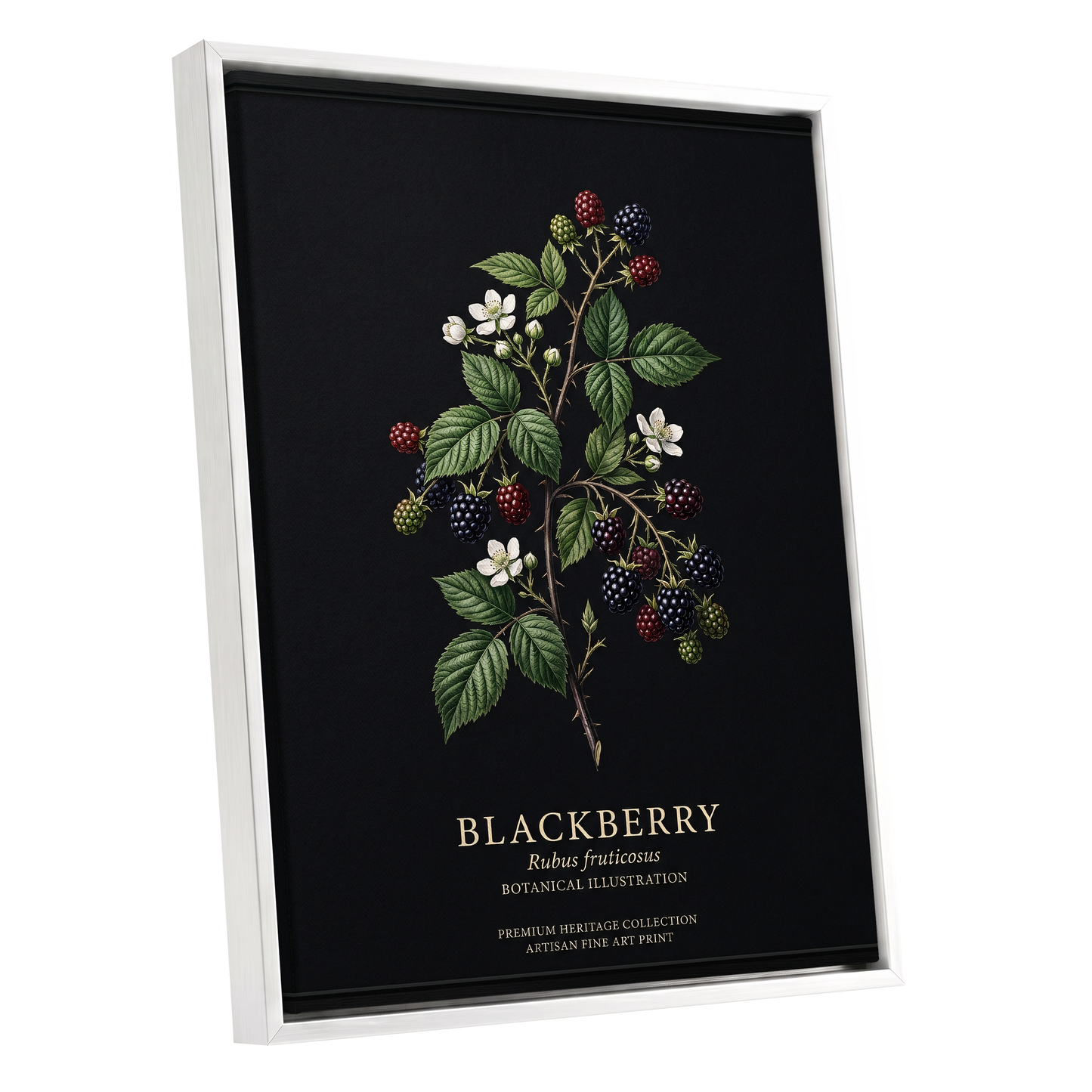 Blackberry Nocturne, black, green, red nature wall art shown as a white framed canvas wall art
