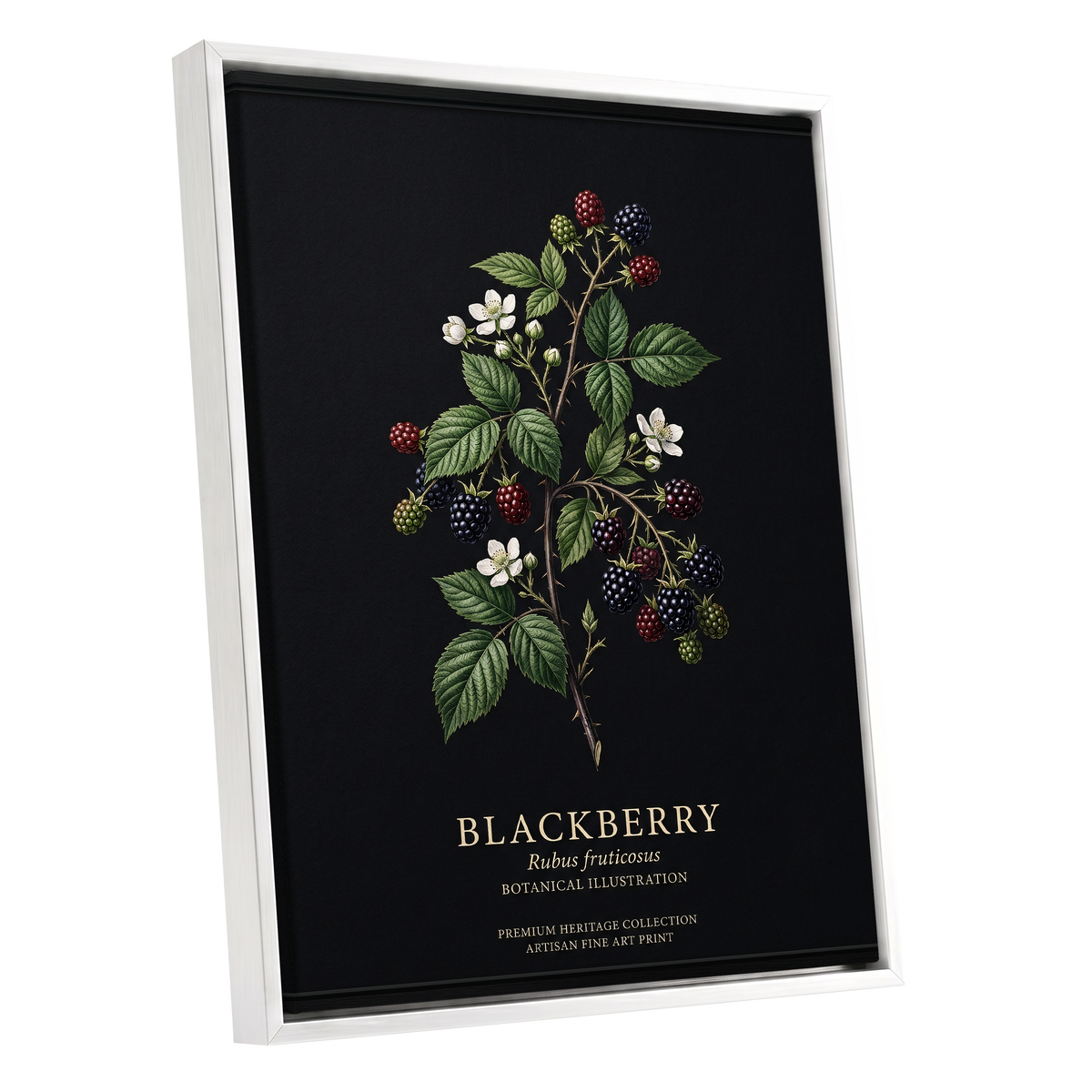 Blackberry Nocturne, black, green, red nature wall art shown as a white framed canvas wall art
