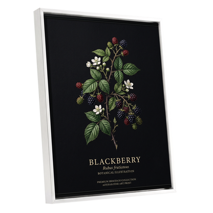 Blackberry Nocturne, black, green, red nature wall art shown as a white framed canvas wall art