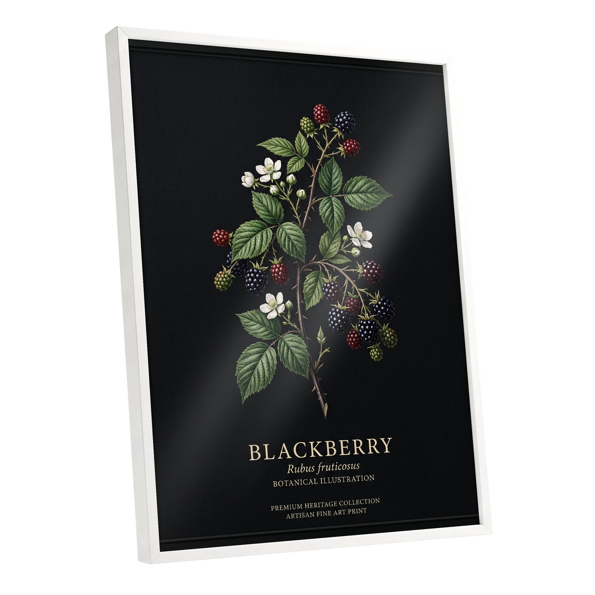 Blackberry Nocturne, black, green, red nature wall art shown as a white framed poster wall art print