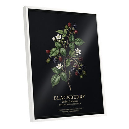 Blackberry Nocturne, black, green, red nature wall art shown as a white framed poster wall art print
