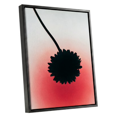 Bloom in Blush, black, pink, red floral wall art shown as a black framed canvas wall art